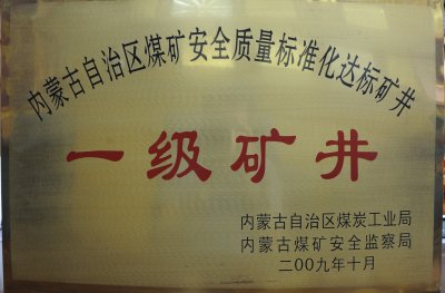 2009年获得荣誉及证书