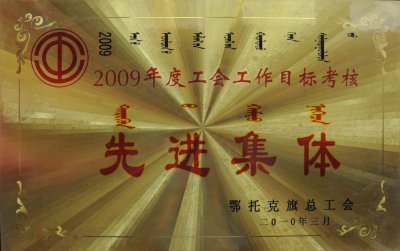 2010年获得荣誉及证书